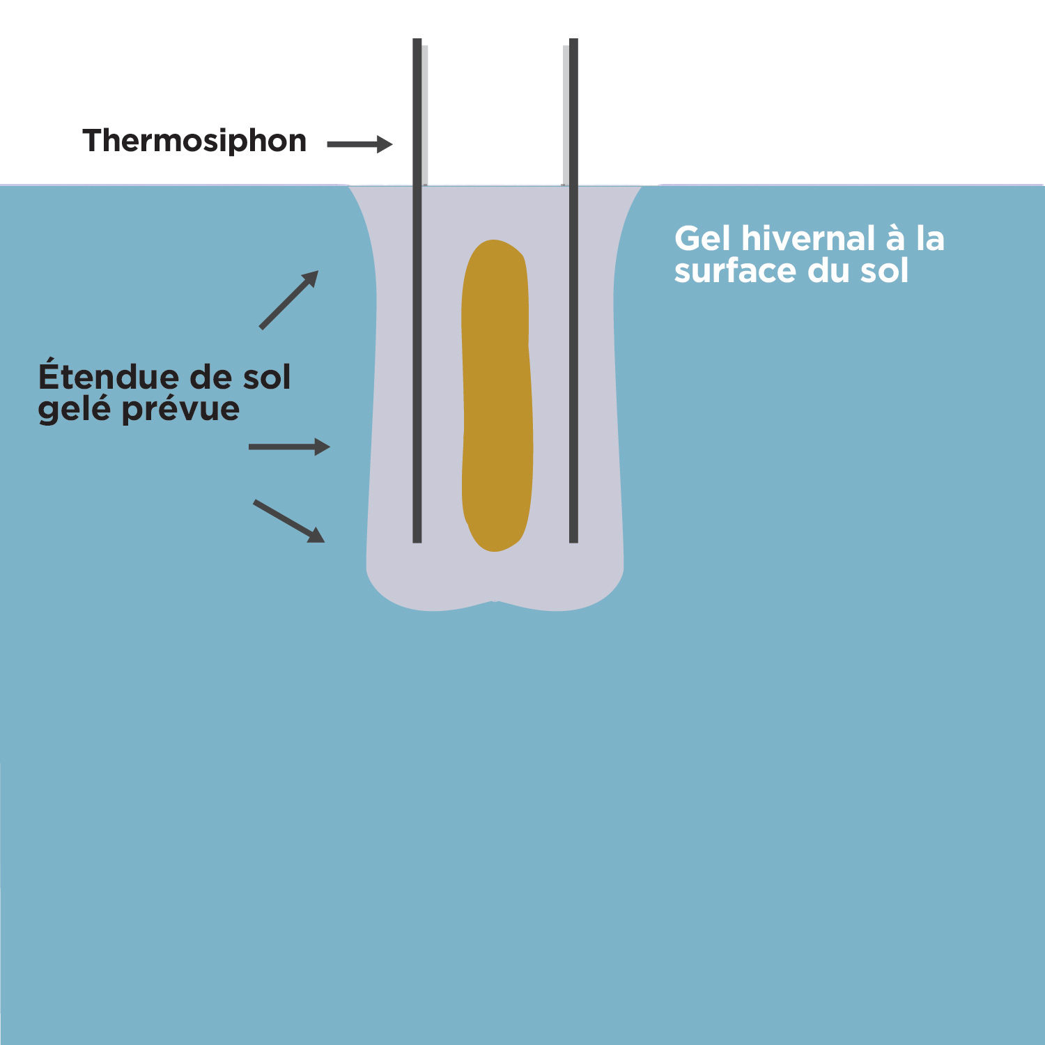 Cette figure représente une chambre d'arsenic après sa congélation, avec 2 lignes verticales parallèles représentant les thermosiphons situés à l'extérieur de la chambre. La zone représentant le sol est étiquetée «congélation en hiver à la surface du sol». Un bloc représentant l'étendue prévue du sol gelé entoure la chambre et englobe les thermosiphons.